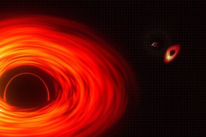 First XRISM Data Revealed Black Hole Mysteries and Supernova Surprises