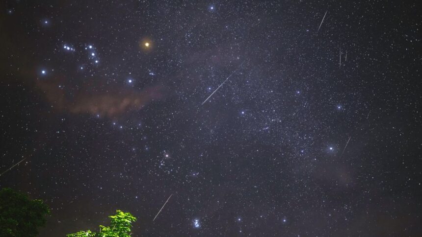 Orionid Meteor Shower: Experience the Magic of the Spectacular Orionids This Week