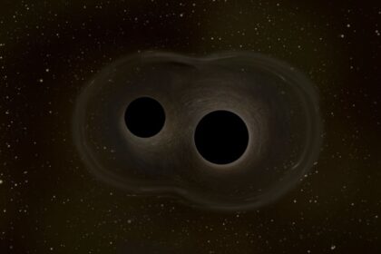 Universe Shakedown: What Really Happens When Black Holes Merge?